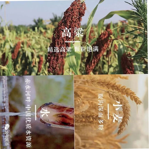 醬酒行業(yè)大揭秘！