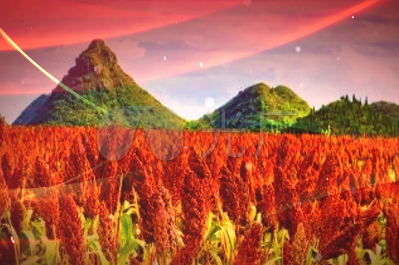 什么是坤沙、碎沙、翻沙、大紅糧、小紅糧？